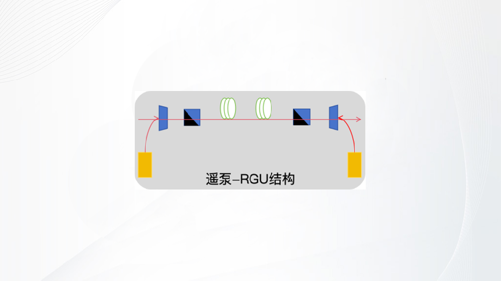 远程增益/泵浦单元（RGU/RPU）